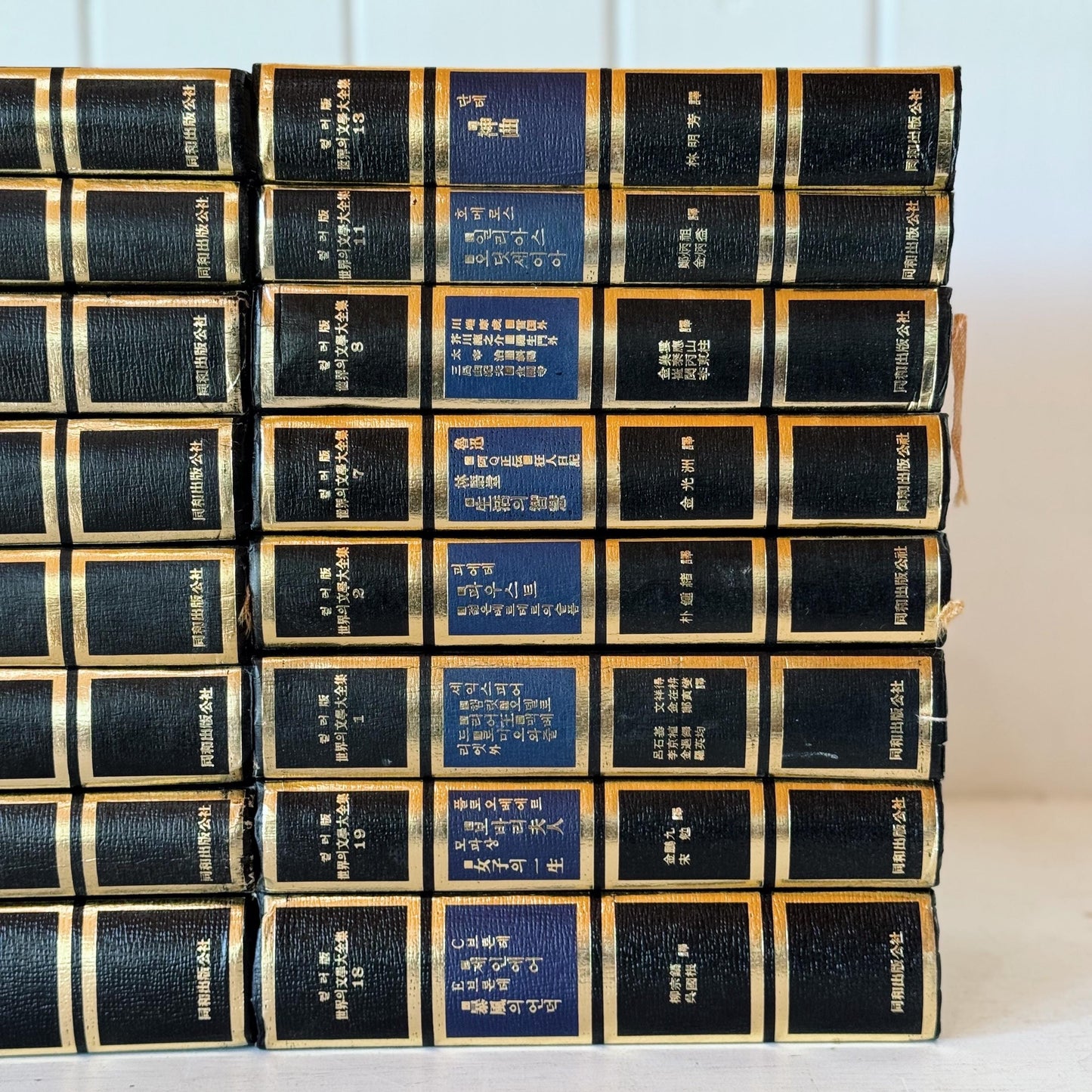 The Complete Works of World Literature, Chinese Edition, Classic Literature Book Set, Blue Black Book Set