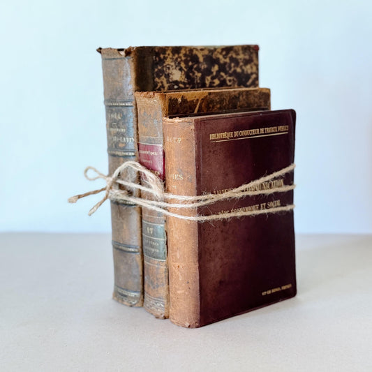 French Antique Leather-Bound Distressed Books, 1800s Book Bundle