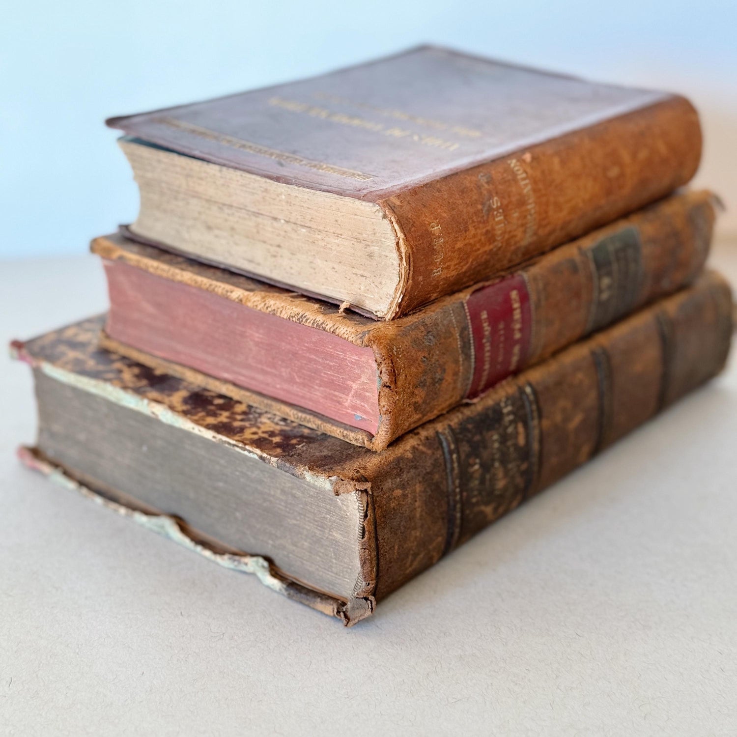 French Antique Leather-Bound Distressed Books, 1800s Book Bundle