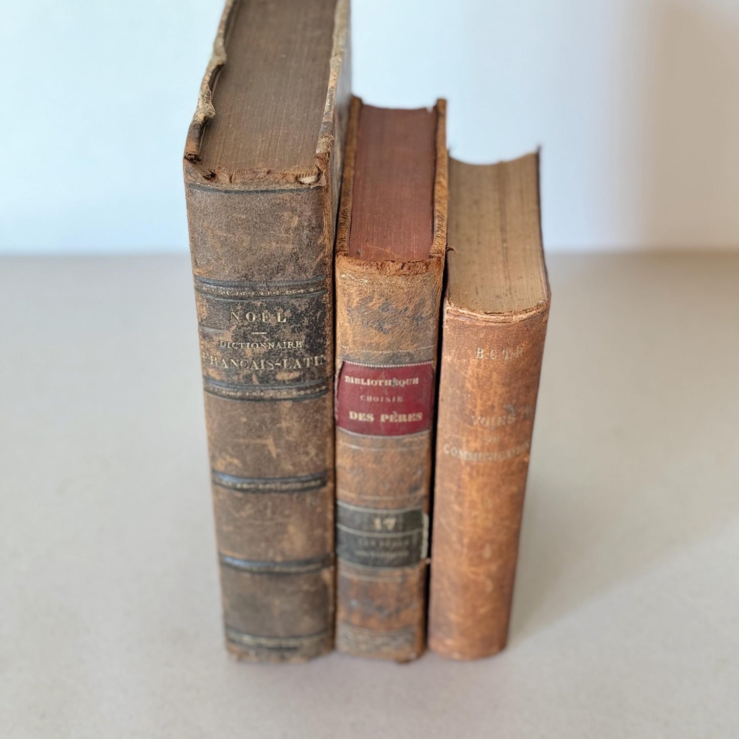 French Antique Leather-Bound Distressed Books, 1800s Book Bundle