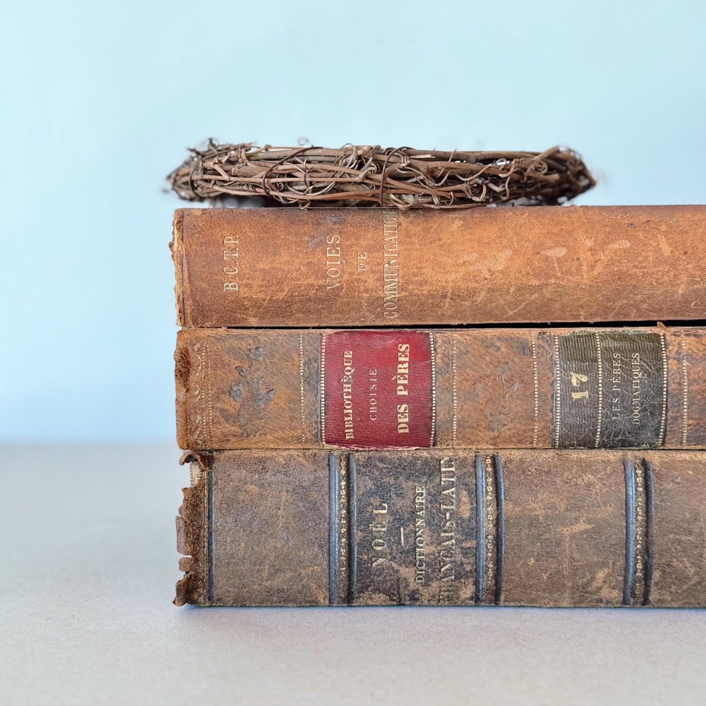 French Antique Leather-Bound Distressed Books, 1800s Book Bundle