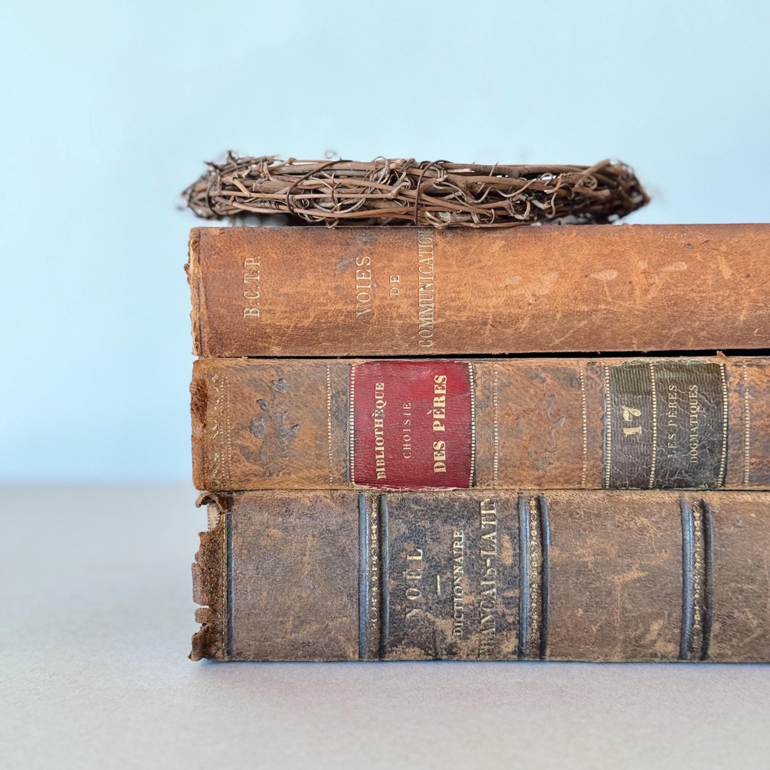 French Antique Leather-Bound Distressed Books, 1800s Book Bundle