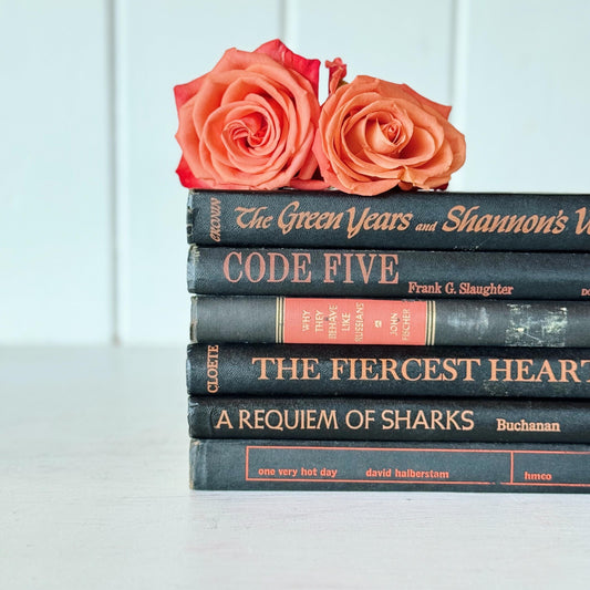 Black and Orange Vintage Books For Shelf Styling, Halloween Decor, Office Shelf Decor