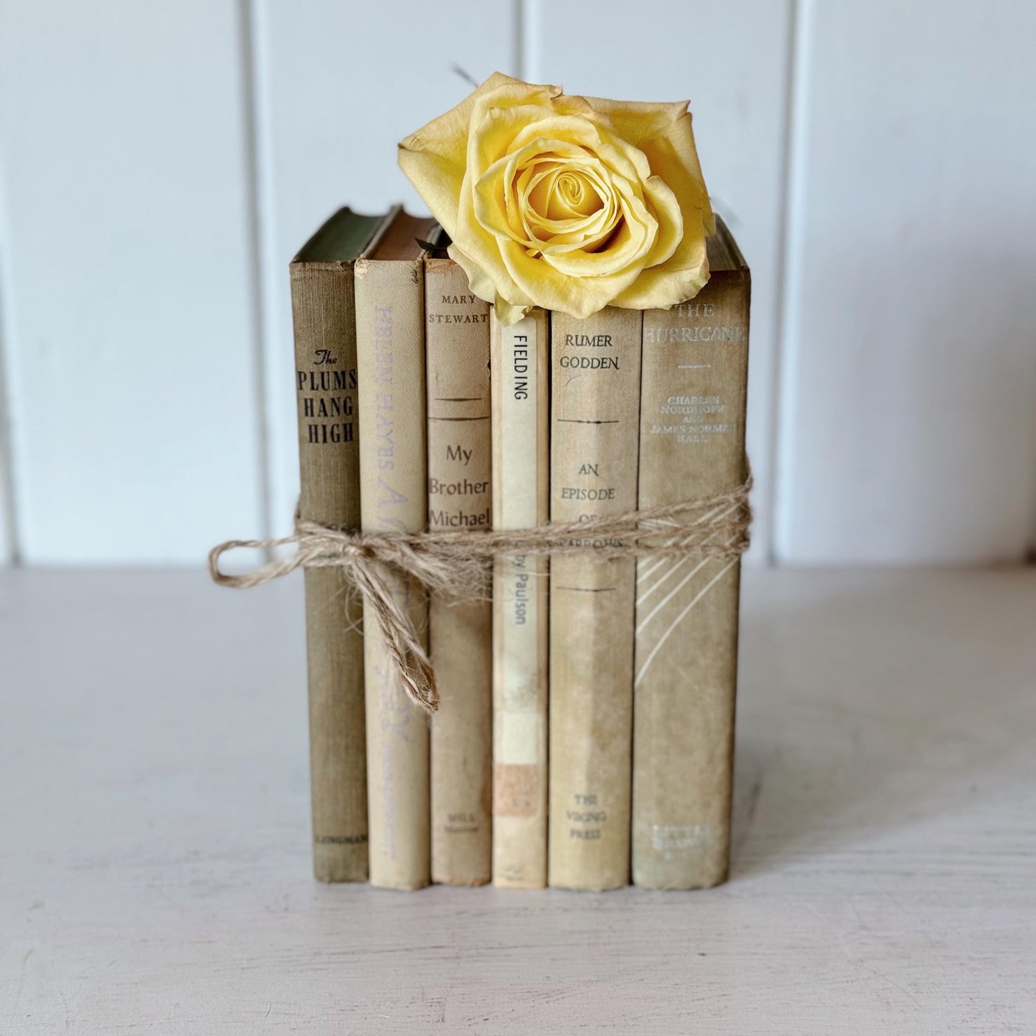 Neutral Shabby Distressed Decorative Books, Shabby Chic Books for Decor, Neutral Book Set