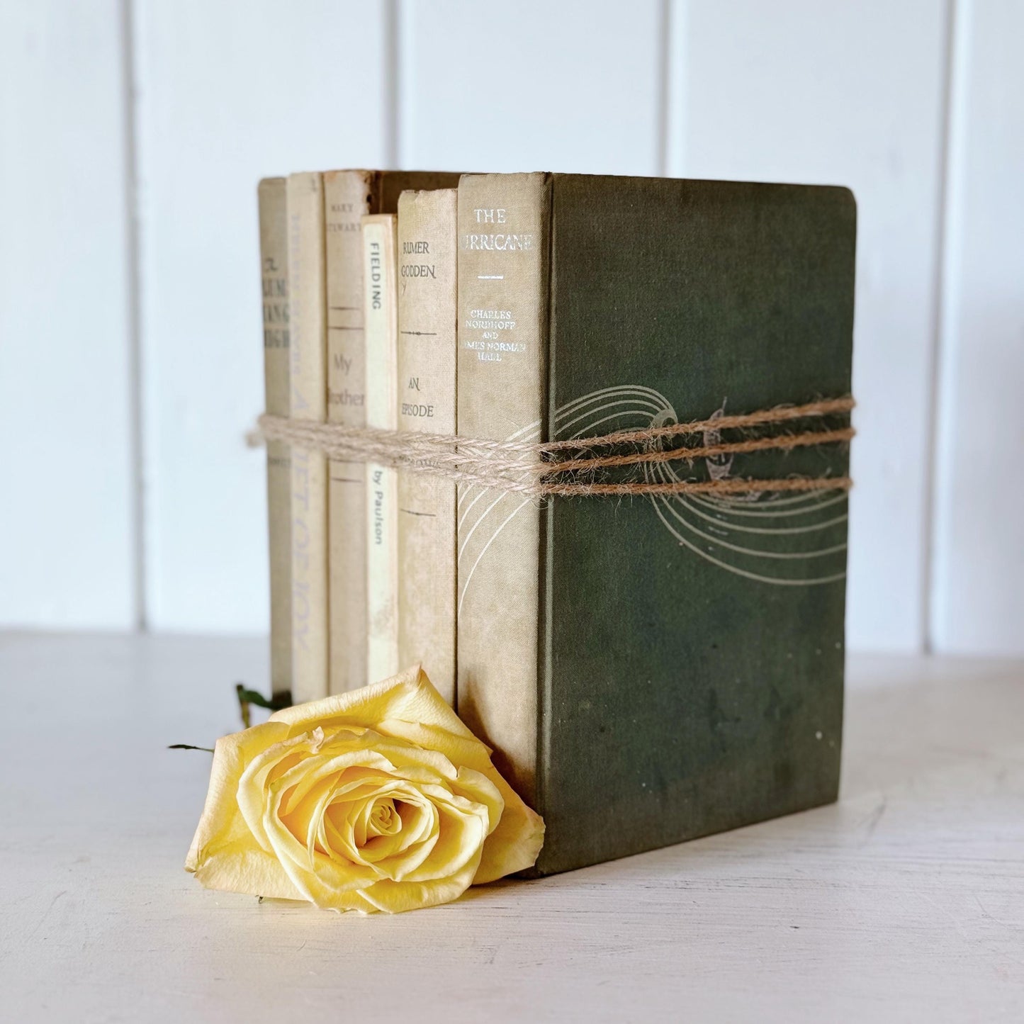 Neutral Shabby Distressed Decorative Books, Shabby Chic Books for Decor, Neutral Book Set