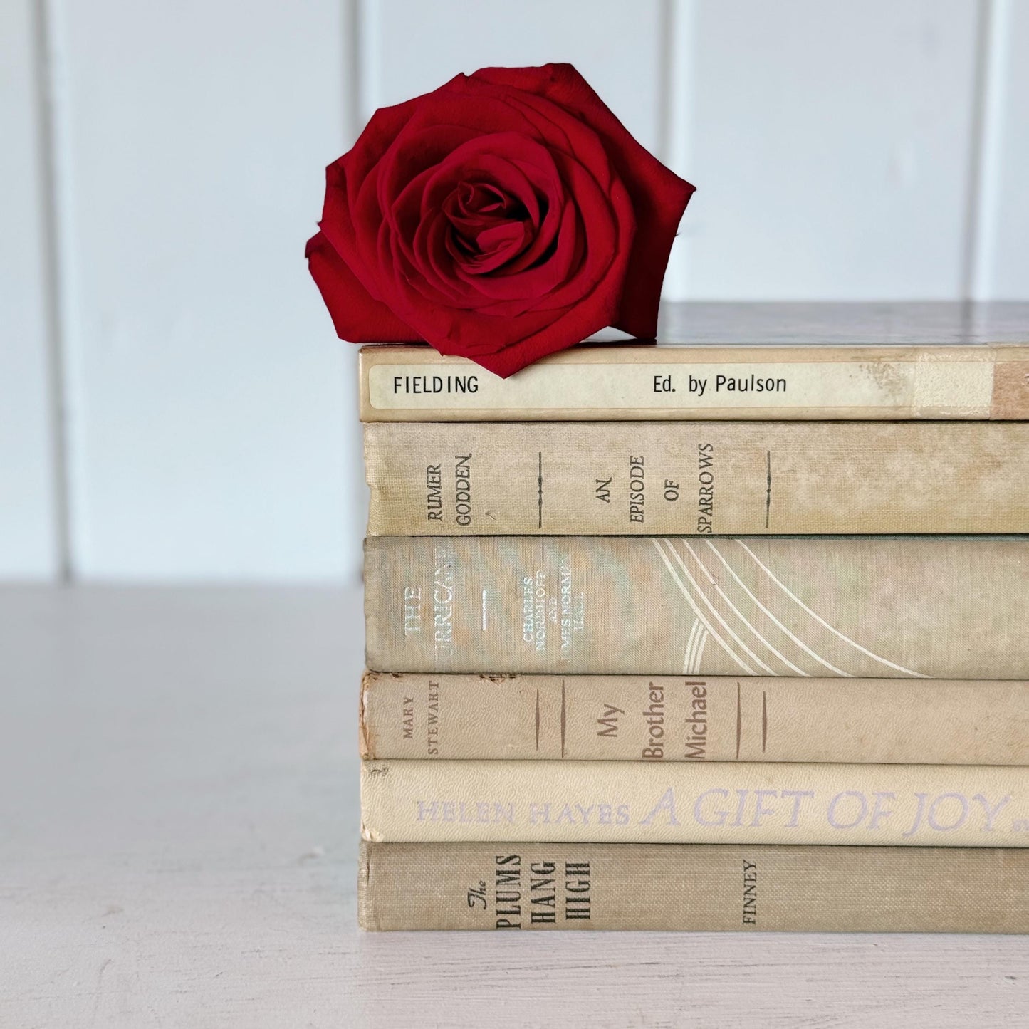 Neutral Shabby Distressed Decorative Books, Shabby Chic Books for Decor, Neutral Book Set