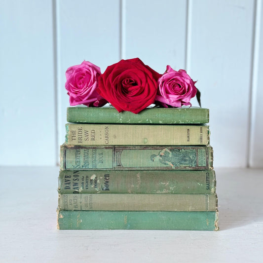 Sea Green and Blue Vintage Shabby Book Bundle, Distressed Blue Green, Sea Green, Books for Shelf Styling