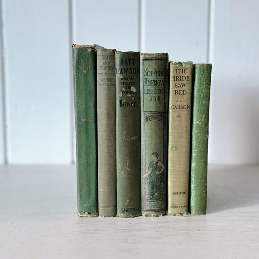 Sea Green and Blue Vintage Shabby Book Bundle, Distressed Blue Green, Sea Green, Books for Shelf Styling