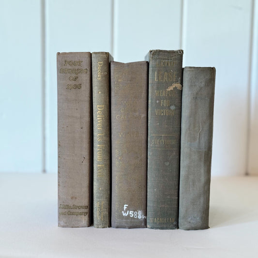 Shabby Old Books for Decor, Faded Neutral Vintage Book Set