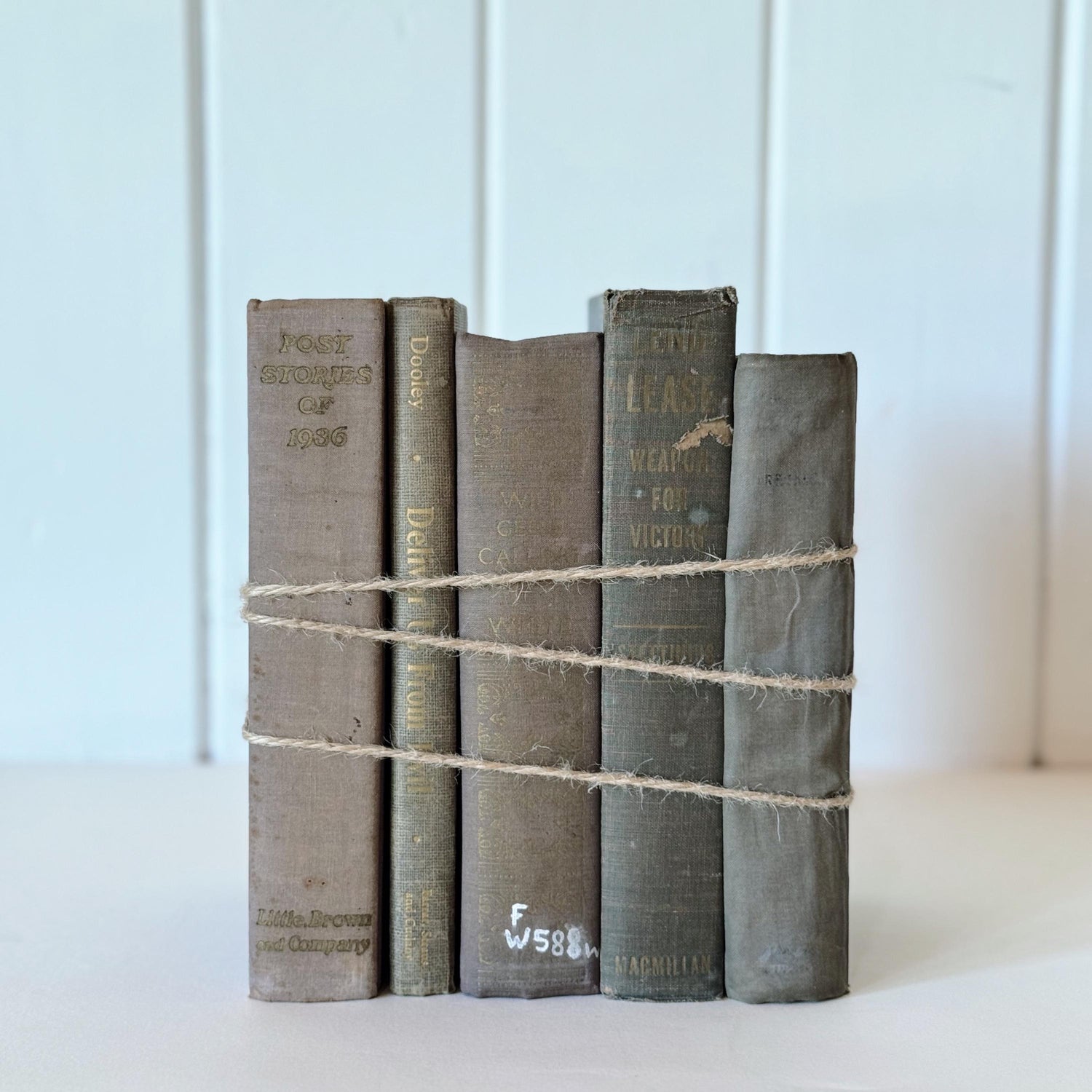 Shabby Old Books for Decor, Faded Neutral Vintage Book Set