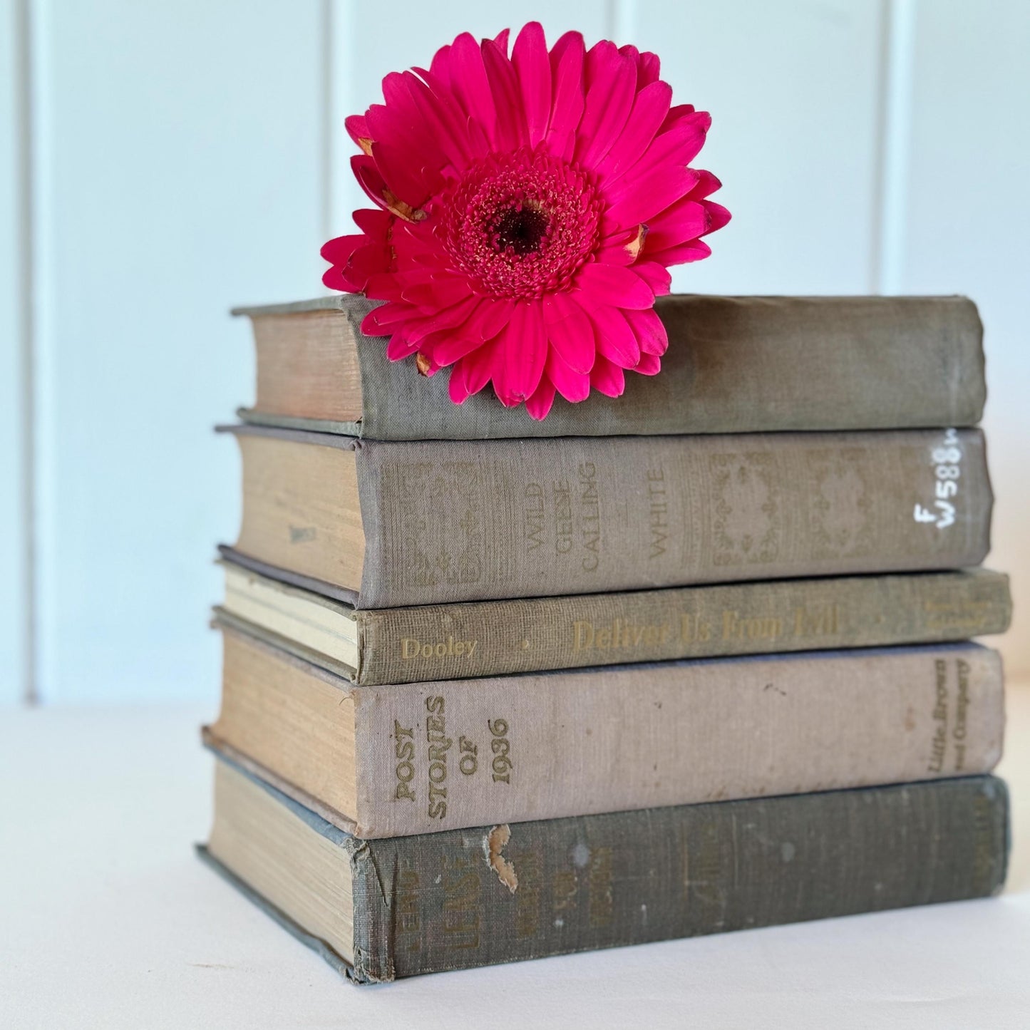 Shabby Old Books for Decor, Faded Neutral Vintage Book Set