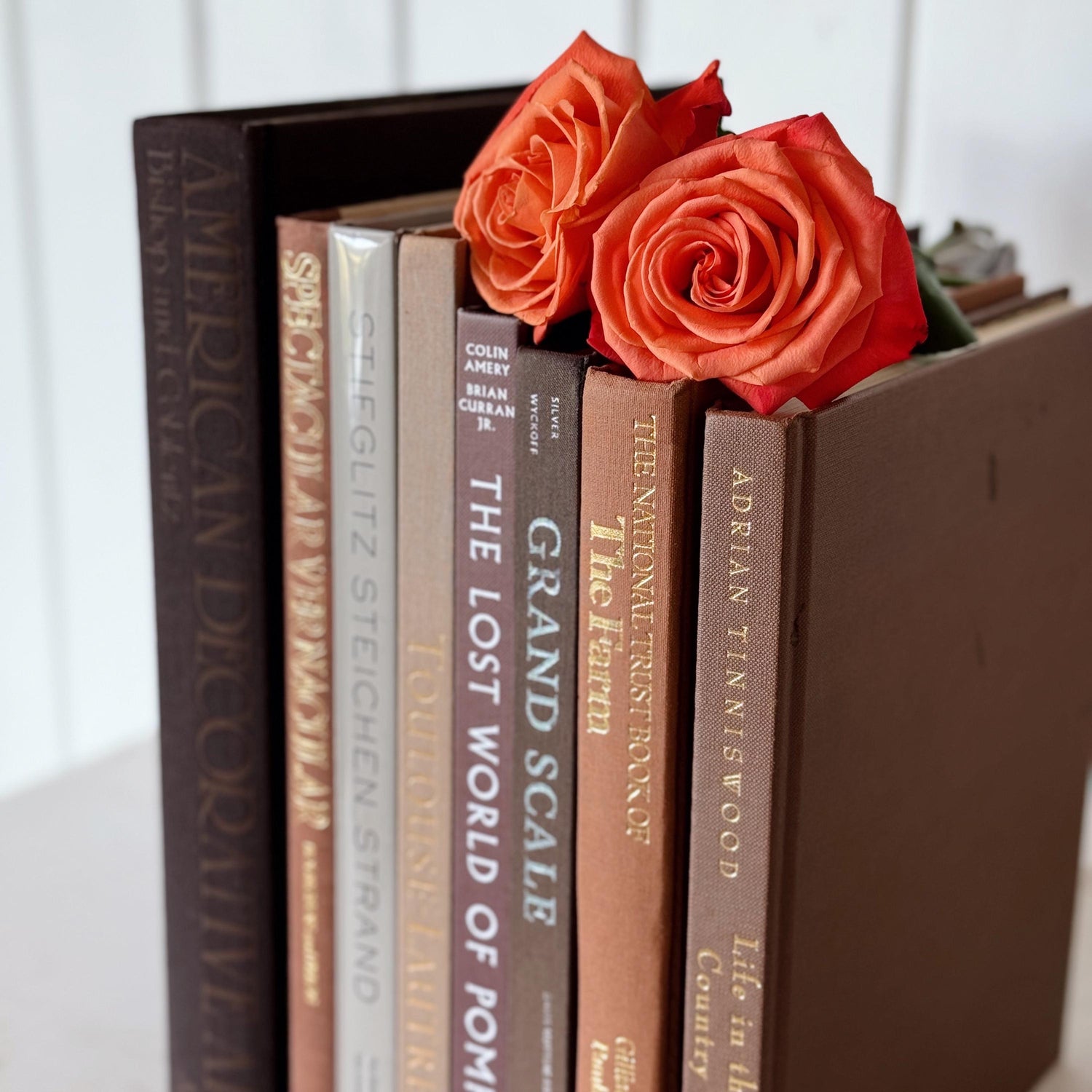 Neutral Vintage Brown Tan Gray Coffee Table Book Set