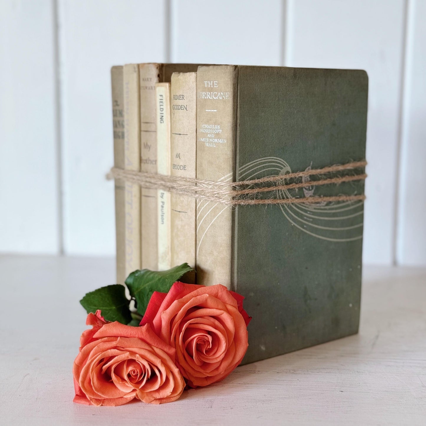 Neutral Shabby Distressed Decorative Books, Shabby Chic Books for Decor, Neutral Book Set