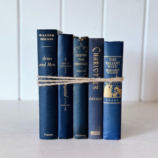 Navy Blue Vintage Books By Color, Curated Book Bundle for Mid Century Shelf Styling