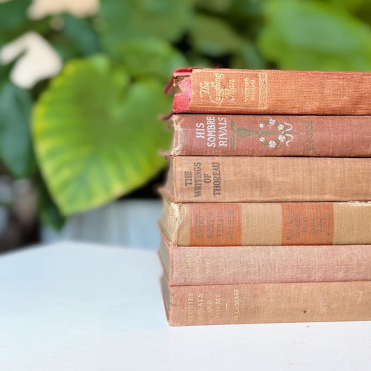 Small Vintage Decorative Books, Peach and Rust Bookshelf Decor, Everyman's Library, Small Books for Decor