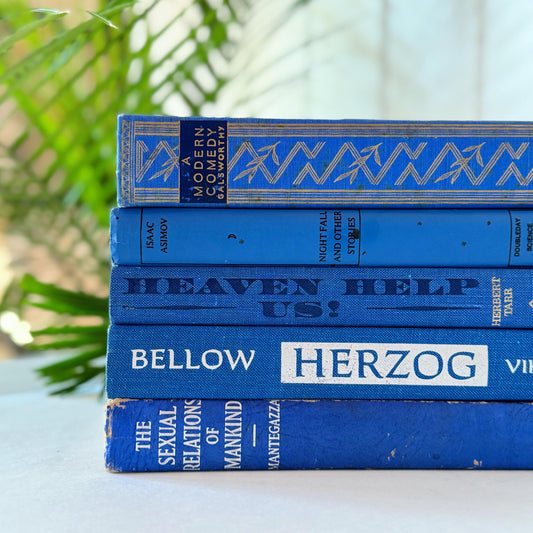 Vintage Bold Indigo Blue Book Set for Decor, Mid-Century Modern Books By Color