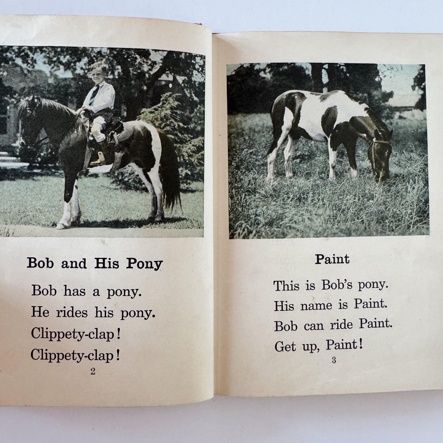 Real Life Readers: At the Farm, 1930 Primer, Vintage School Book with Photos