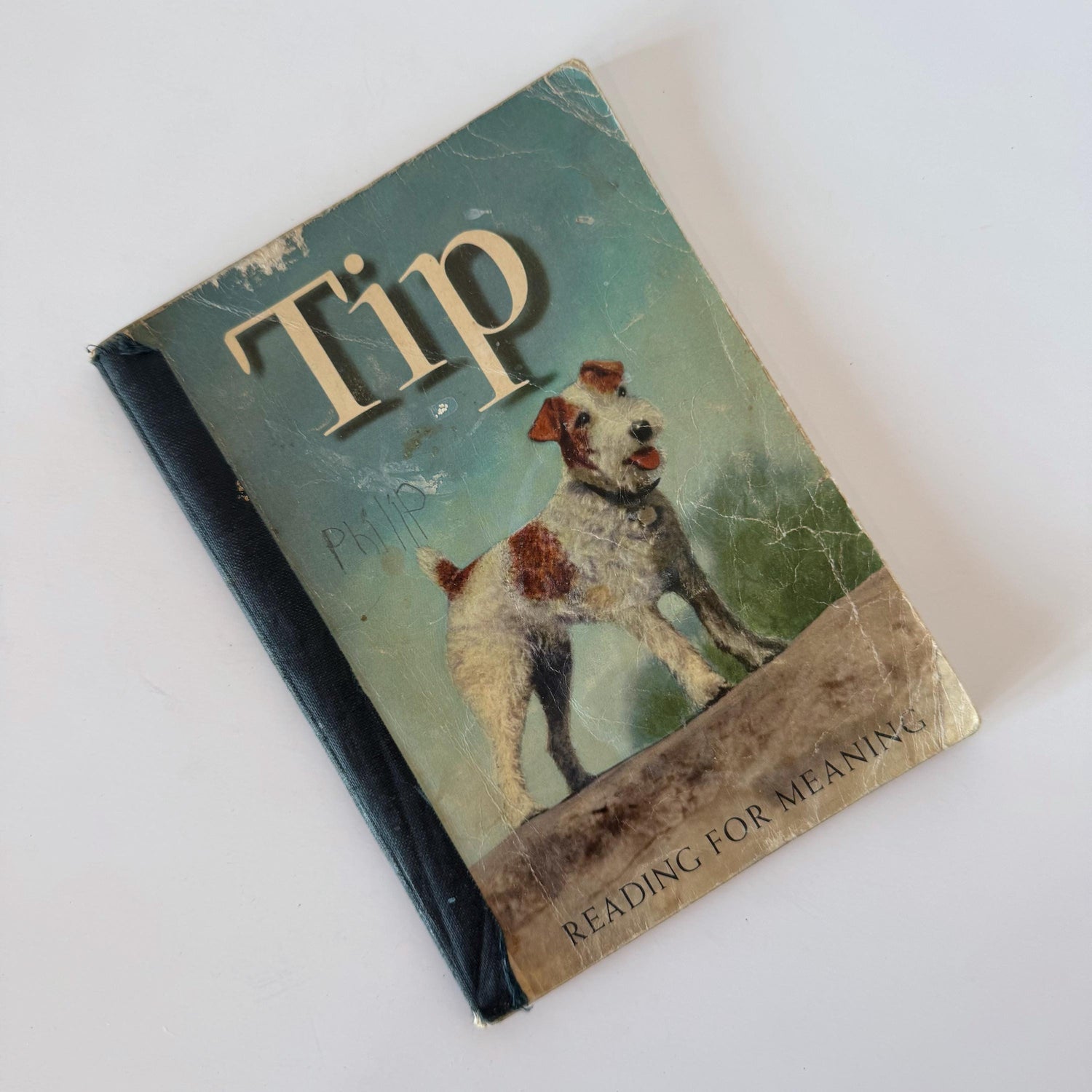 Tip, 1949 Primary Reader, Mid Century School Book, Dog Stories