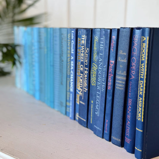 Vintage Blue Ombre Books for Decor, Instant Library, Lake Beach House Decor