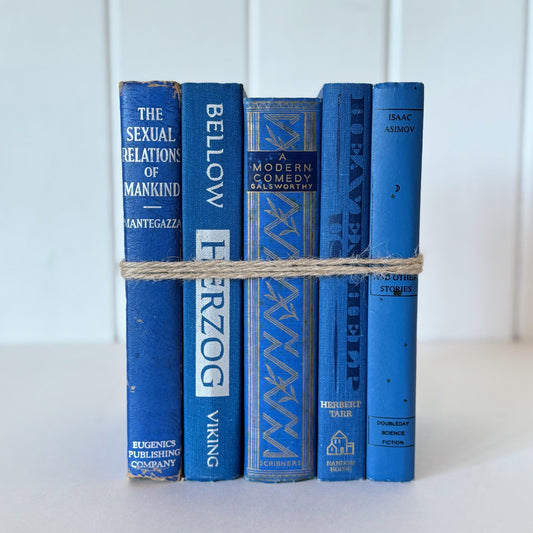 Vintage Bold Indigo Blue Book Set for Decor, Mid-Century Modern Books By Color