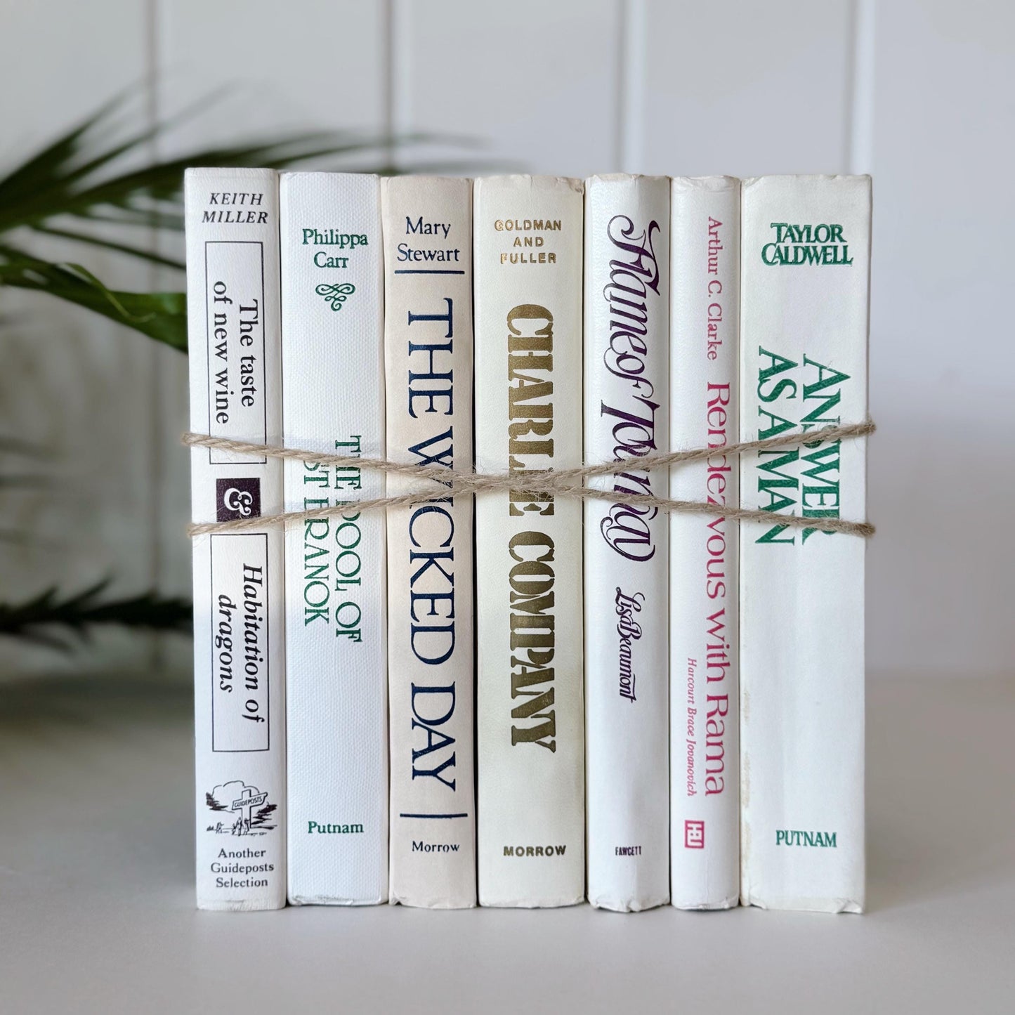 Retro 1980s White and Cream Book Set with Colorful Lettering