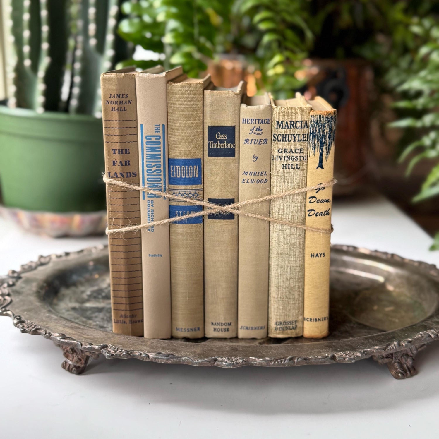 Beige Cream Blue Vintage Book Bundle for Shelf Styling, Books By Color