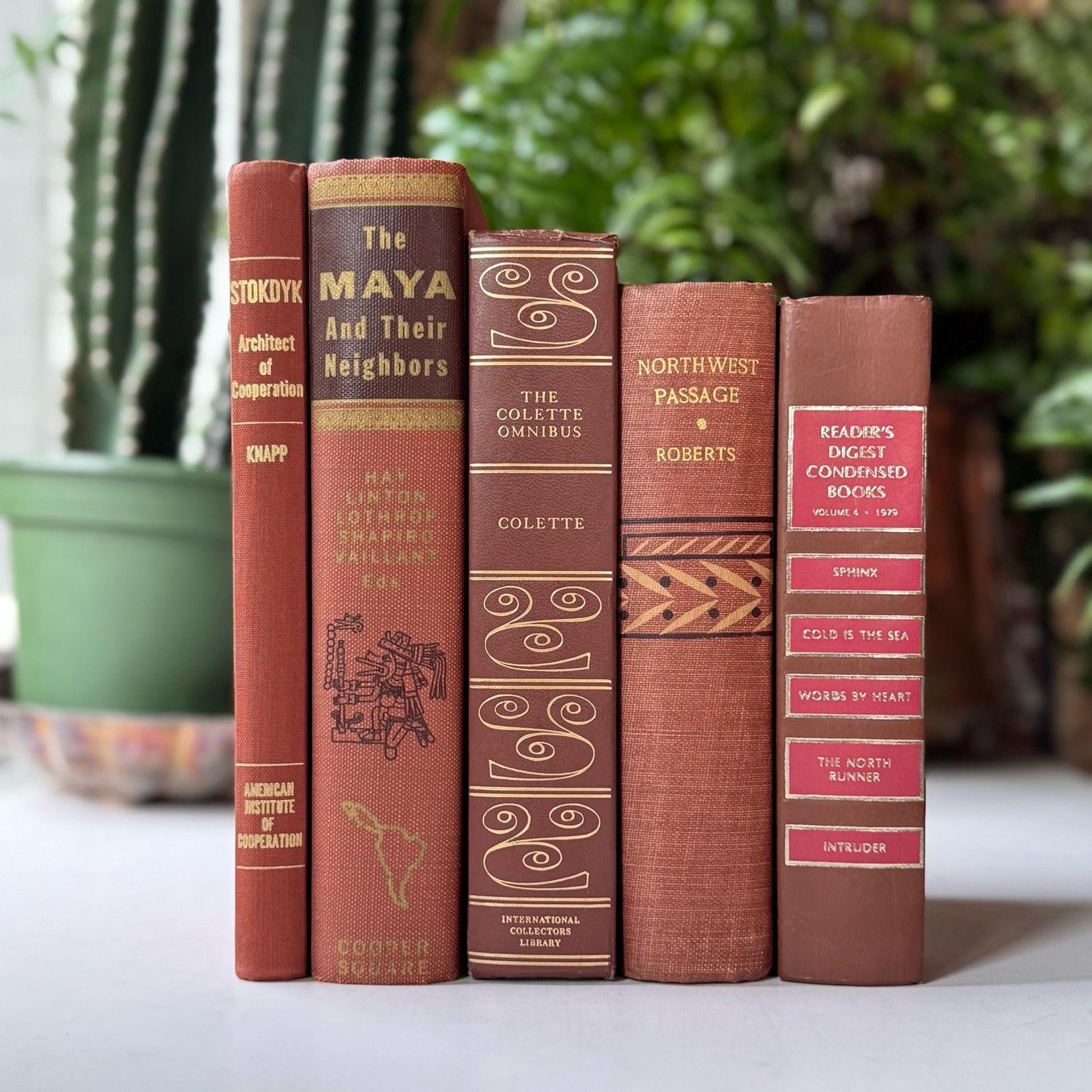 Terra Cotta and Pink Cozy Vintage Book Bundle for Shelf Styling