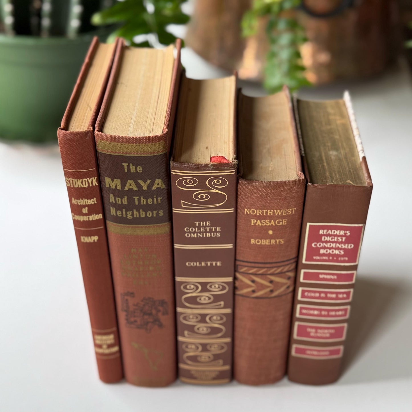 Terra Cotta and Pink Cozy Vintage Book Bundle for Shelf Styling