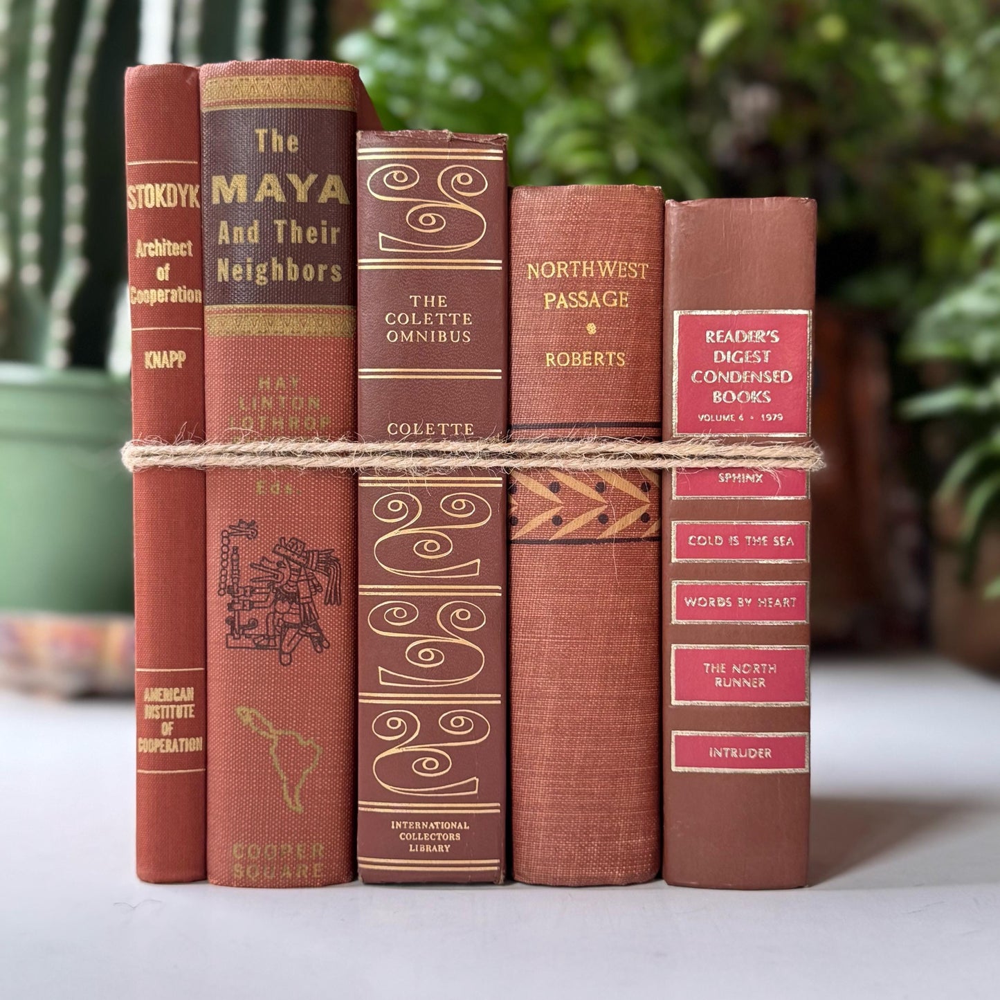 Terra Cotta and Pink Cozy Vintage Book Bundle for Shelf Styling