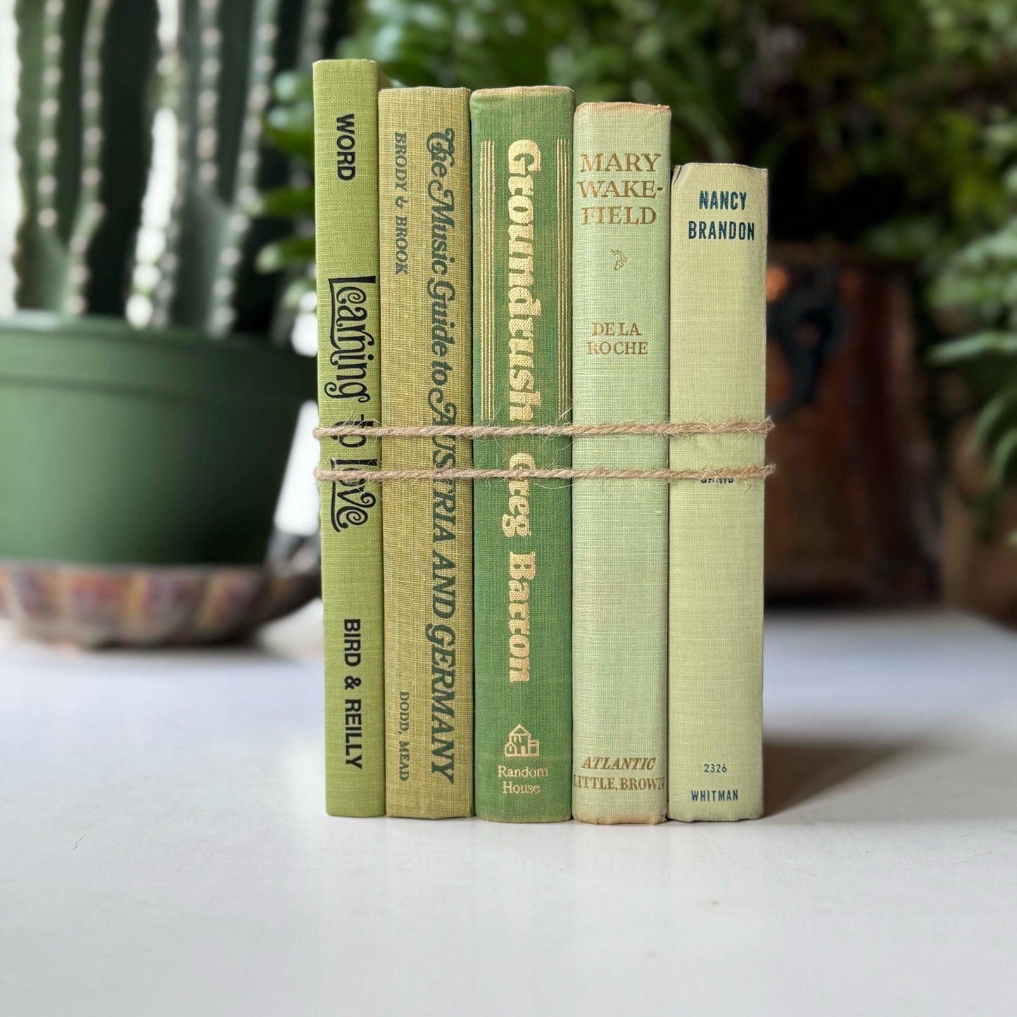 Spring Green Pale Green Vintage Book Bundle for Shelf Styling