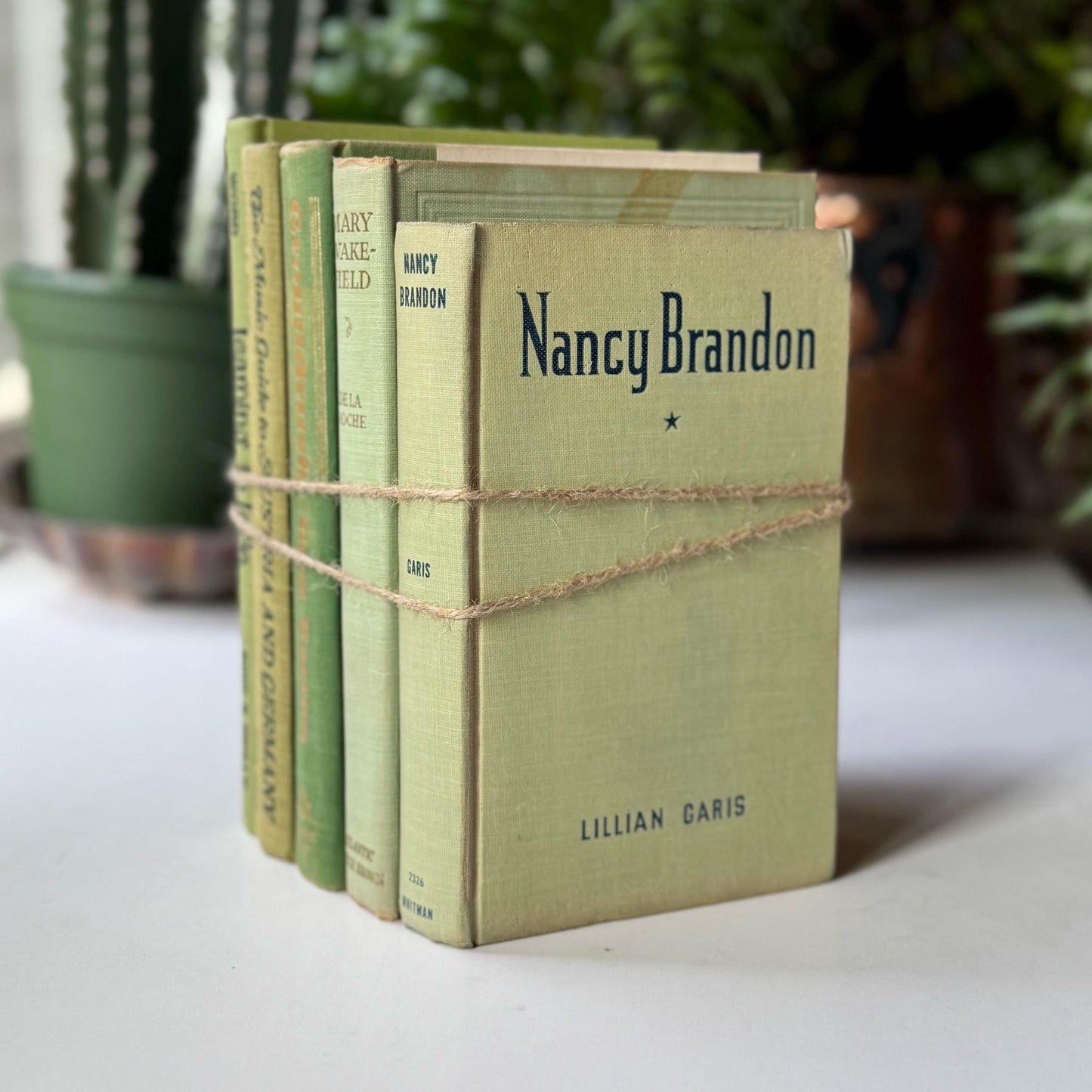 Spring Green Pale Green Vintage Book Bundle for Shelf Styling