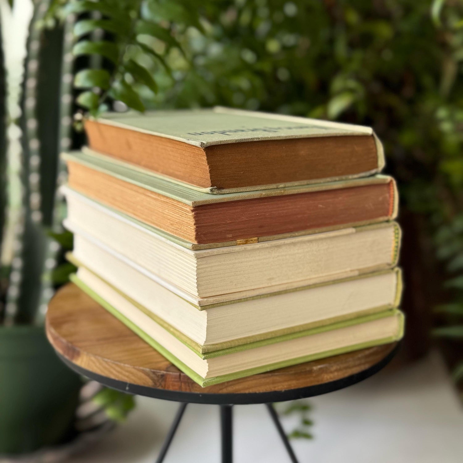 Spring Green Pale Green Vintage Book Bundle for Shelf Styling