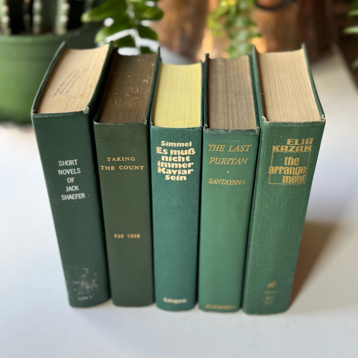 Dark Hunter Green Vintage and Antique Book Bundle for Shelf Styling