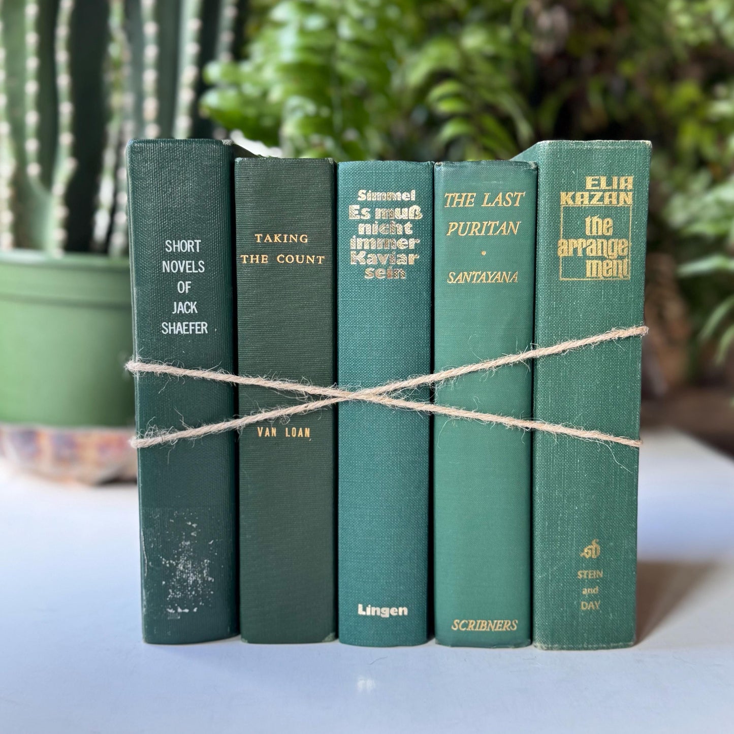 Dark Hunter Green Vintage and Antique Book Bundle for Shelf Styling