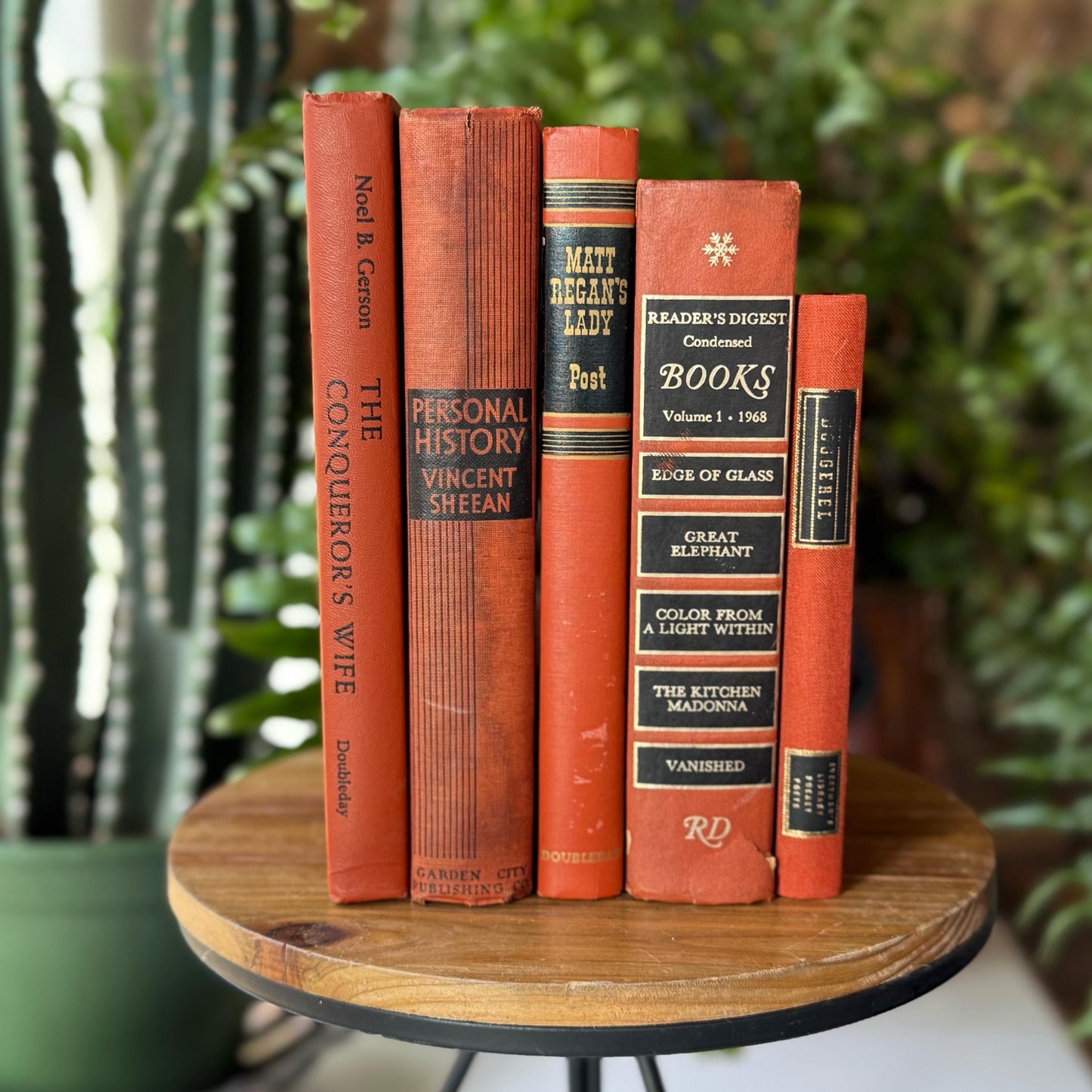 Terra Cotta and Black Vintage Books For Retro Shelf Styling