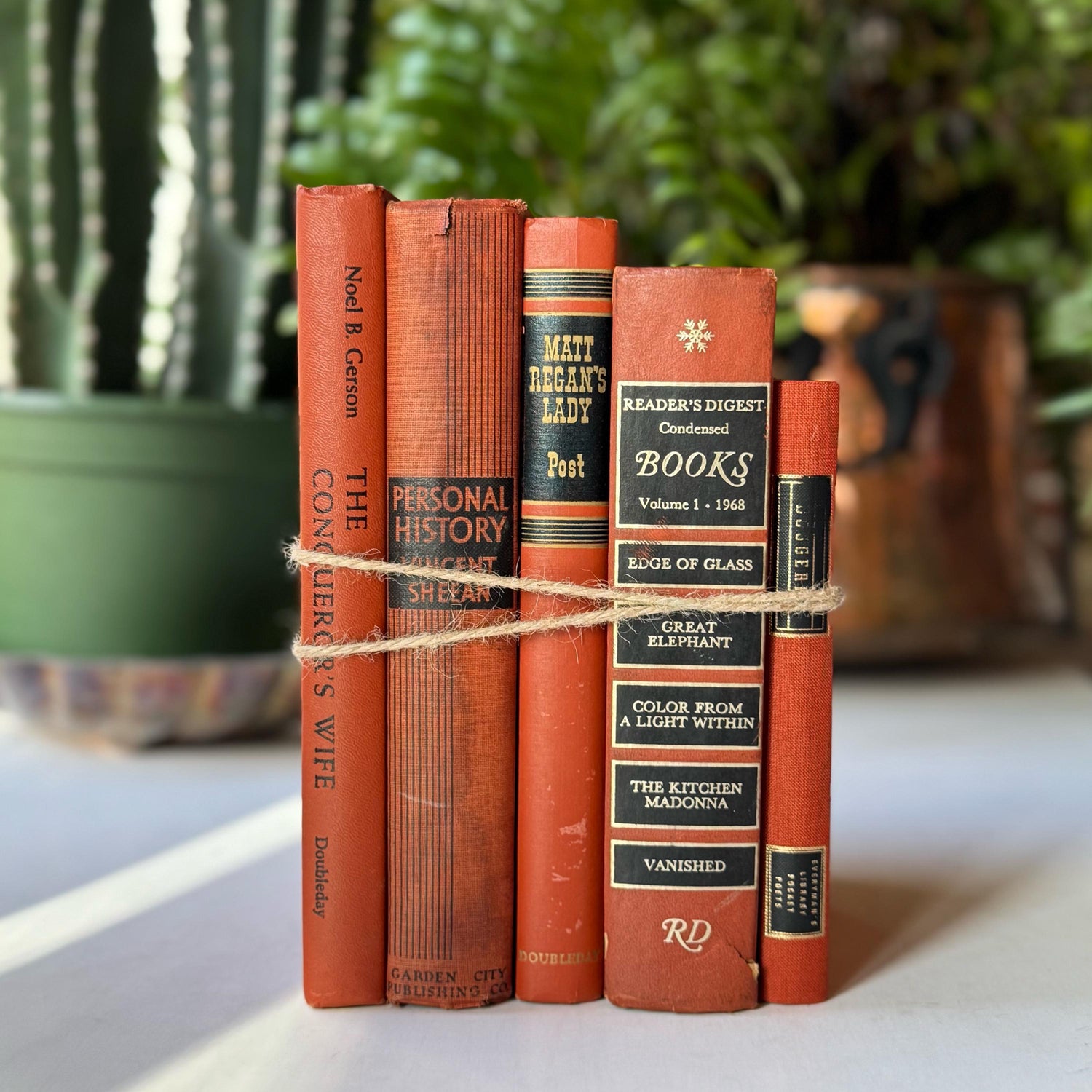 Terra Cotta and Black Vintage Books For Retro Shelf Styling