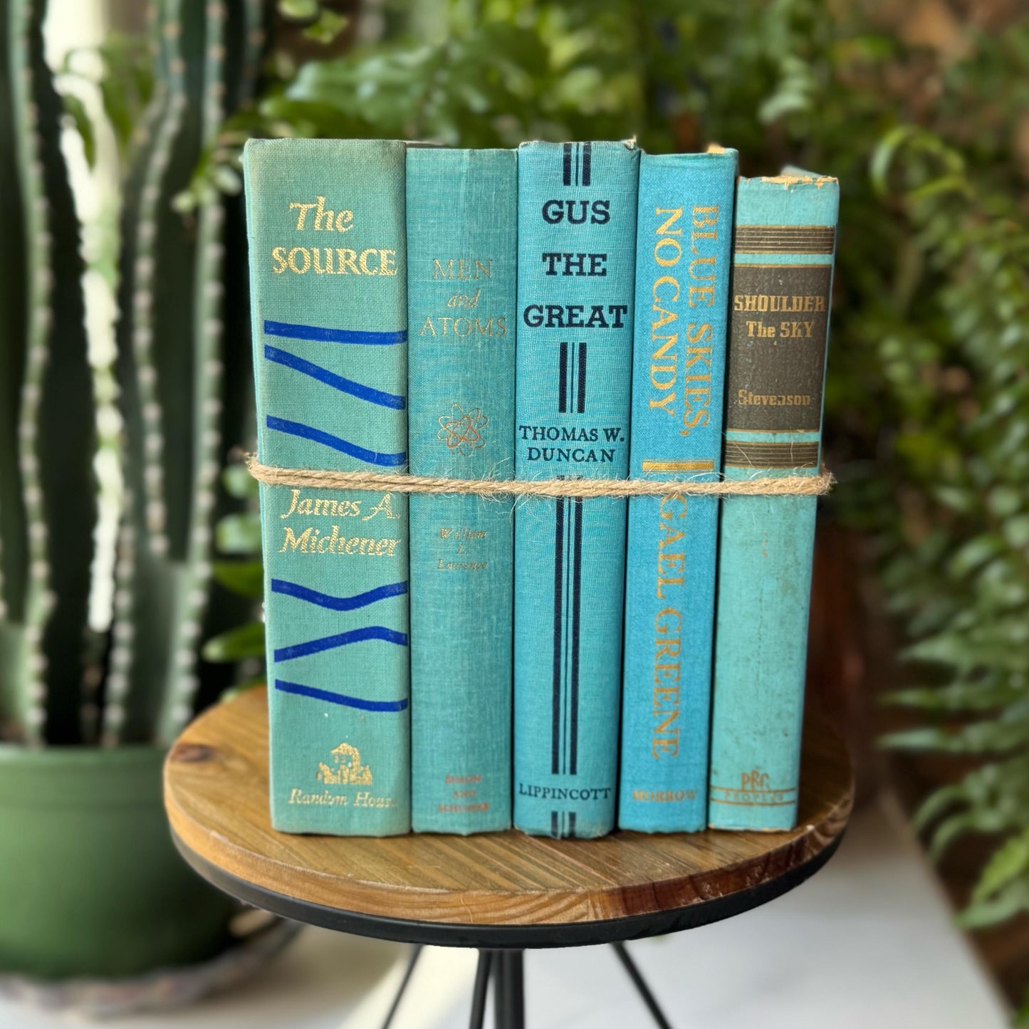 Turquoise Blue Shabby Vintage Mid Century Books for Shelf Styling