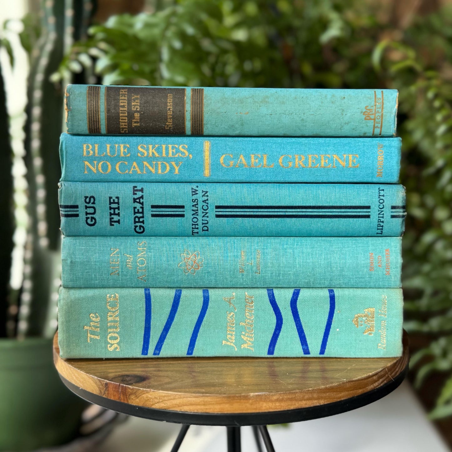 Turquoise Blue Shabby Vintage Mid Century Books for Shelf Styling