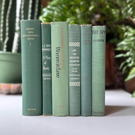 Teal Spring Green Vintage Books for Shelf Styling, Books by the Foot