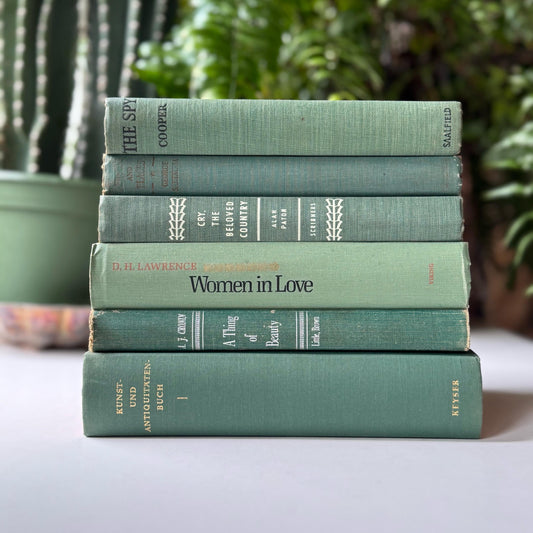 Teal Spring Green Vintage Books for Shelf Styling, Books by the Foot