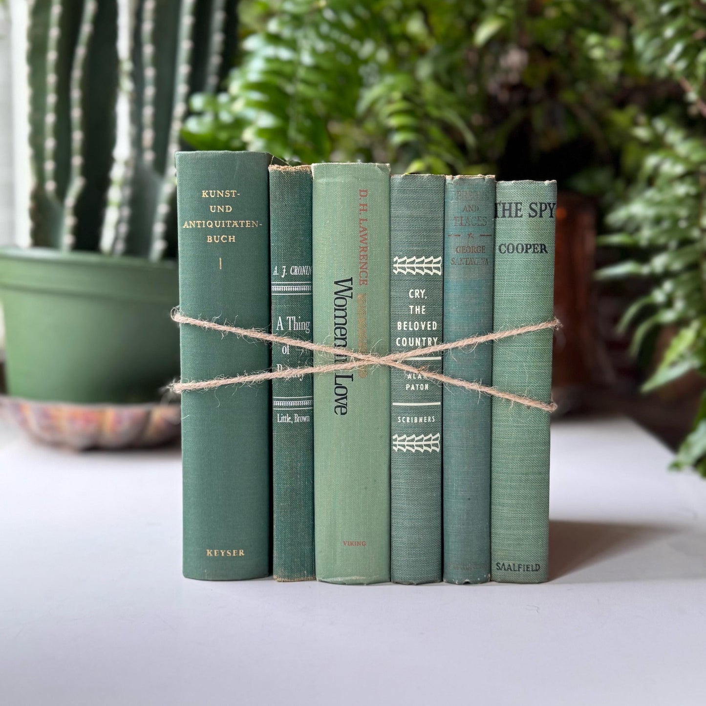 Teal Spring Green Vintage Books for Shelf Styling, Books by the Foot