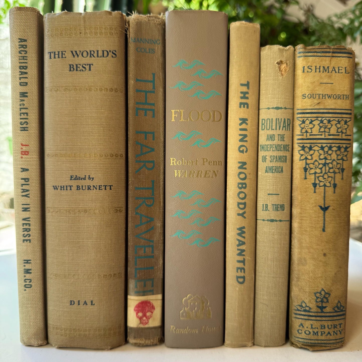 Old Beige Blue Green Vintage and Antique Books for Shelf Styling