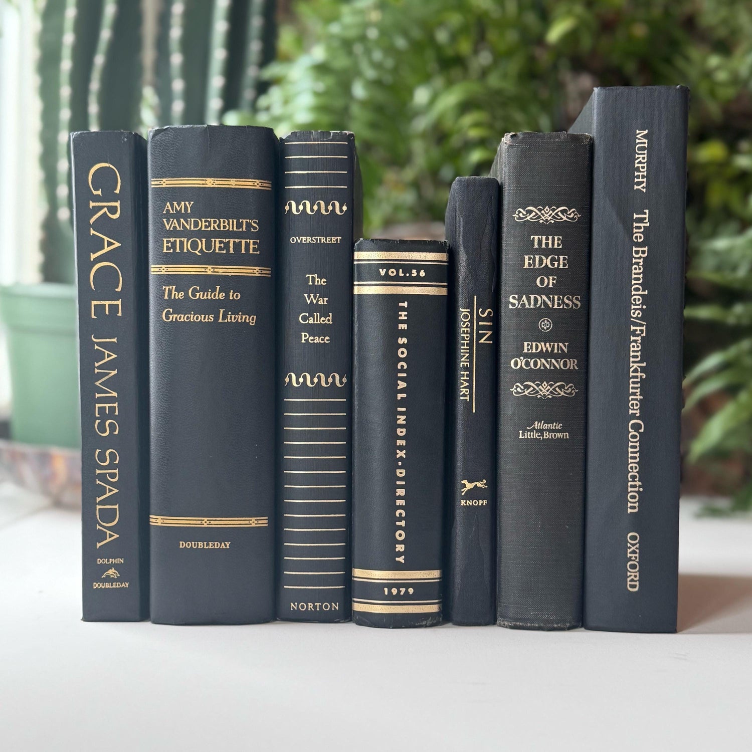 Black and Gold Vintage Mid-Century Book Bundle for Shelf Styling