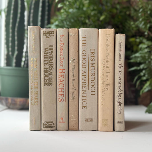 Cream and Gold Vintage Retro Book Set for Shelf Styling