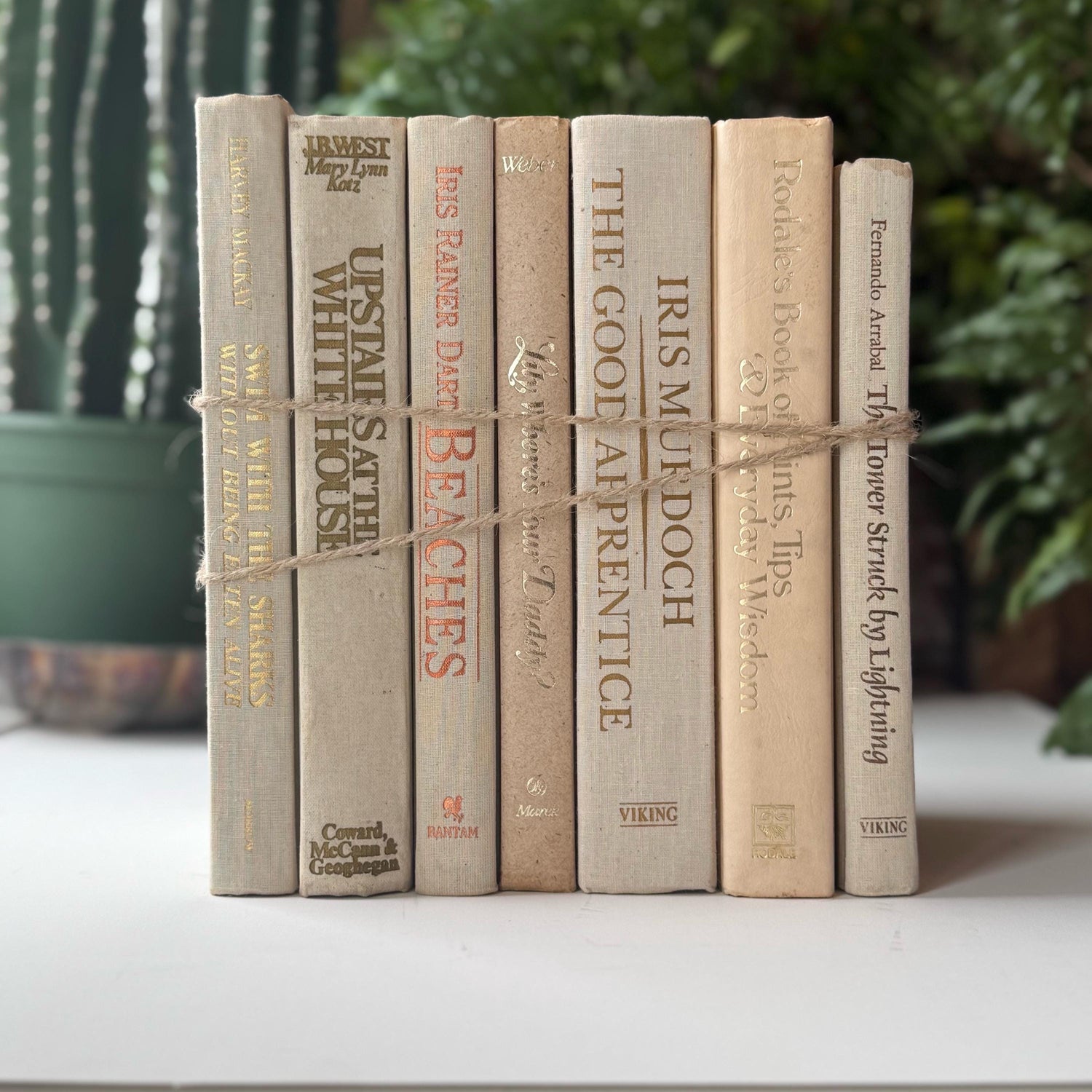 Cream and Gold Vintage Retro Book Set for Shelf Styling