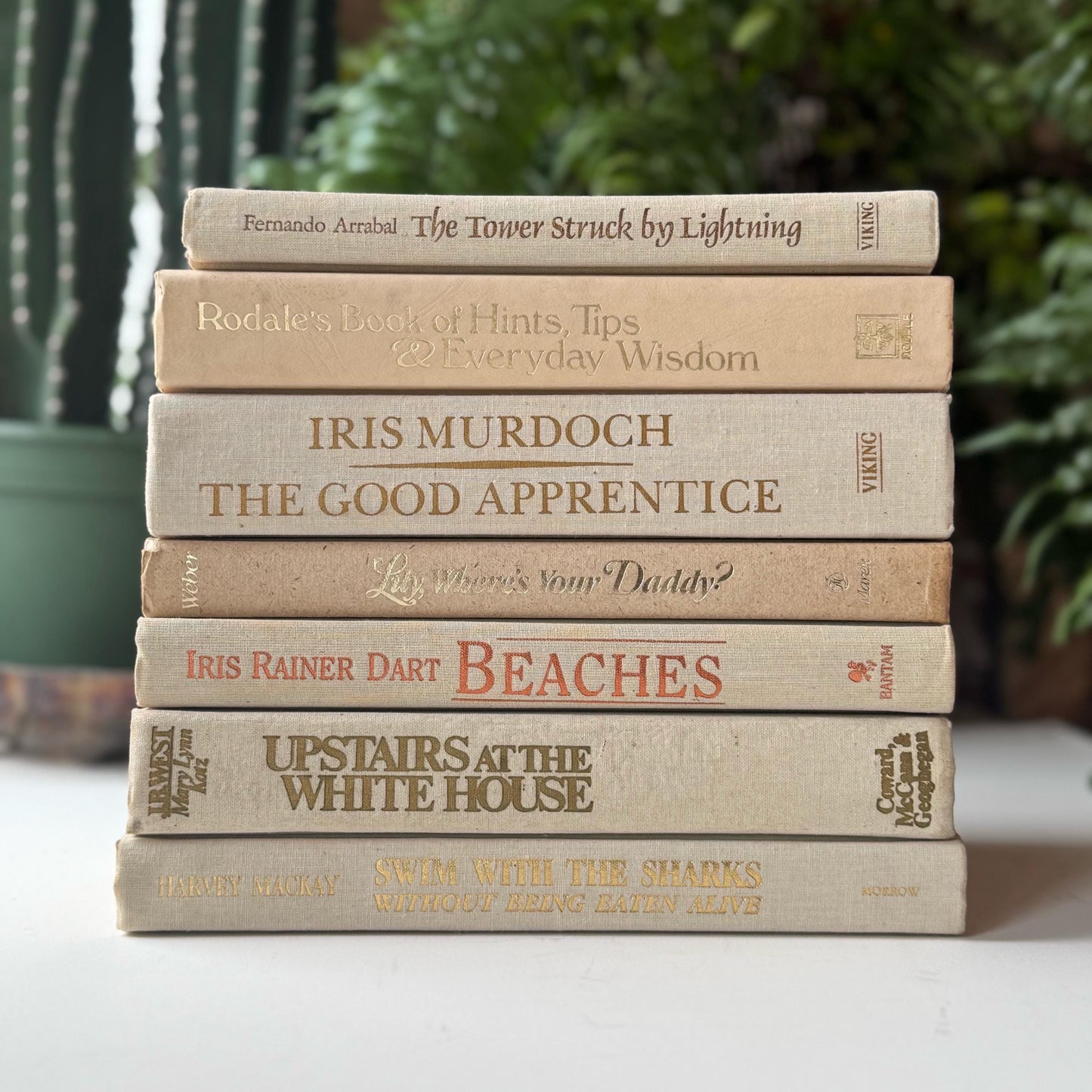 Cream and Gold Vintage Retro Book Set for Shelf Styling