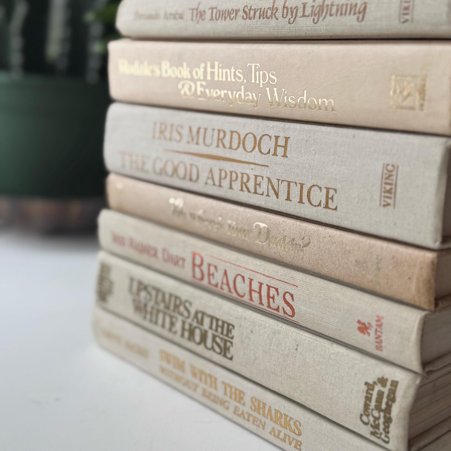 Cream and Gold Vintage Retro Book Set for Shelf Styling