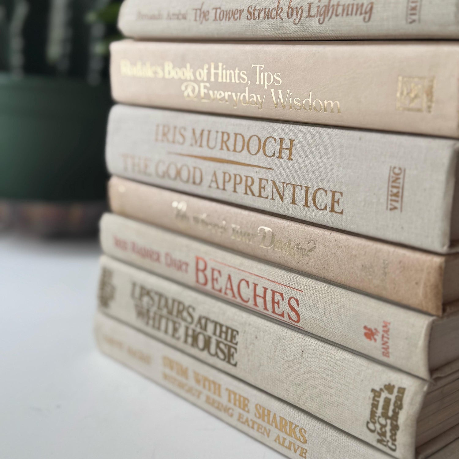 Cream and Gold Vintage Retro Book Set for Shelf Styling