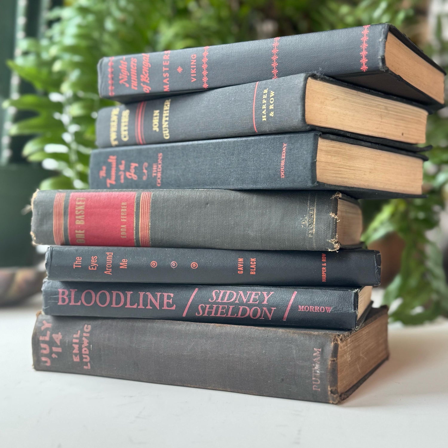 Black Red Gold Vintage Mid Century Books for Shelf Styling