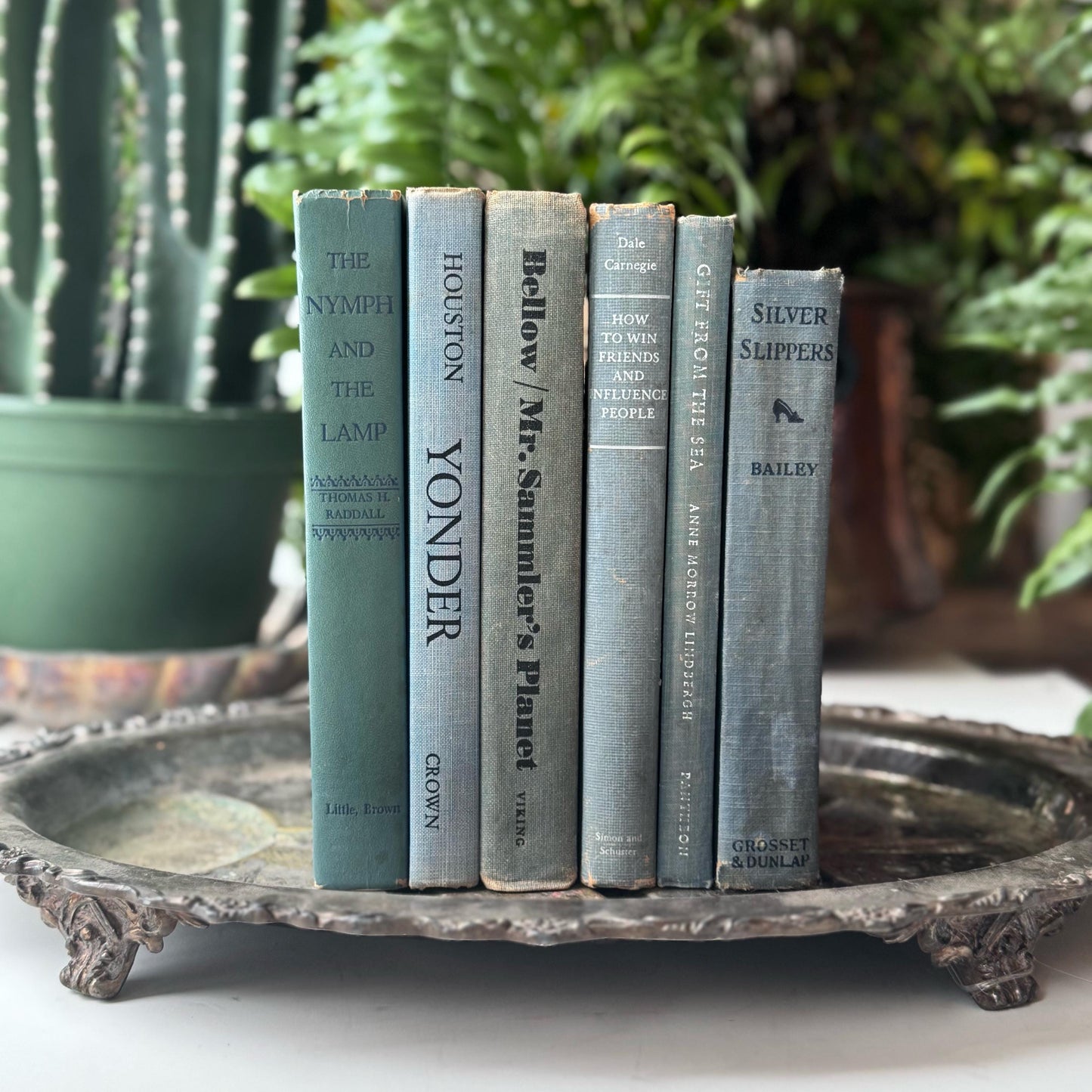 Pale Blue and Blue-Gray Vintage and Antique Book Set for Shelf Styling